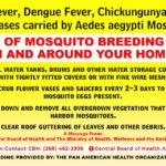 Dengue Flier 2