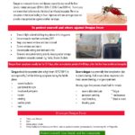 Dengue Flier 7