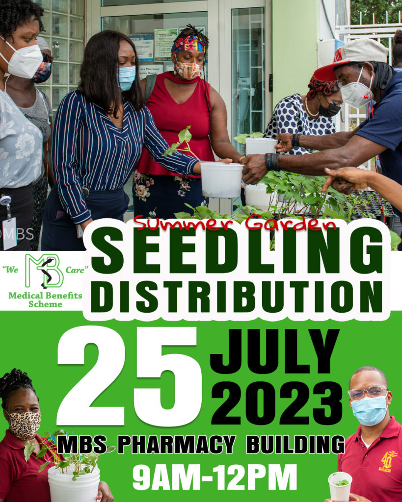 MBS Summer Garden Seedling Distribution