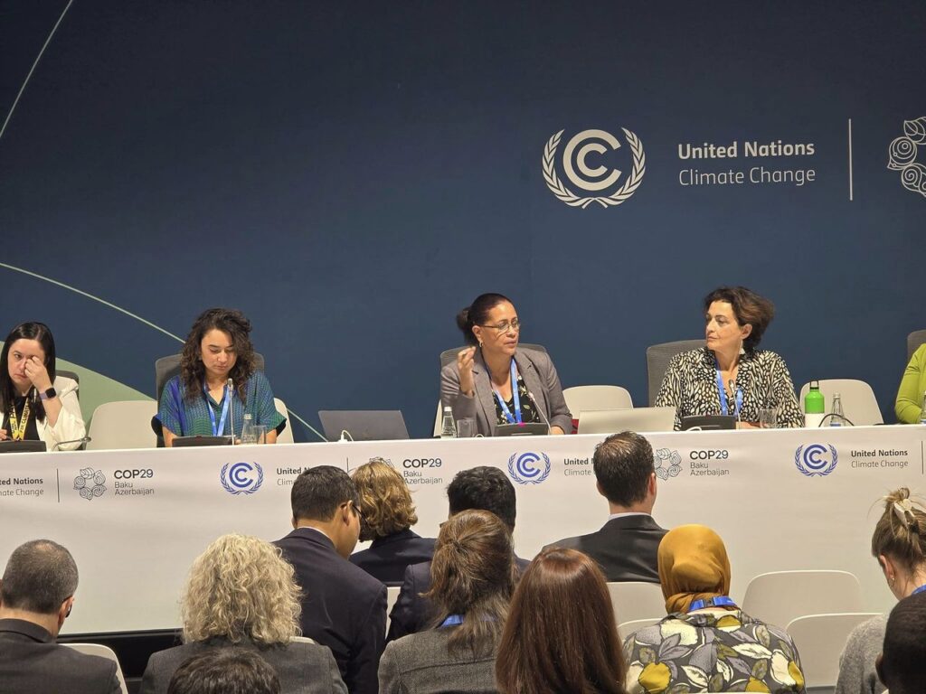 Director of the Department of Environment, Diann Black-Layne co-chairs Standing Committee on Finance Highlighting Key Reports at COP 29 Interactive Session