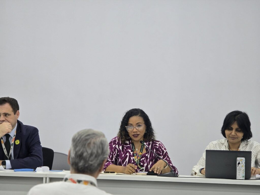 Antigua and Barbuda represented at High-Level side event at COP30 in Brazil